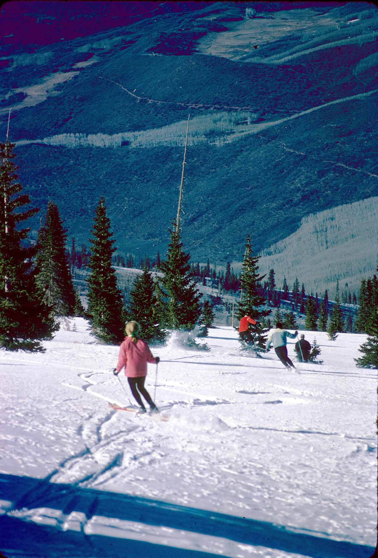 Historical image of people skiing down Big Burn in Snowmass Colorado.