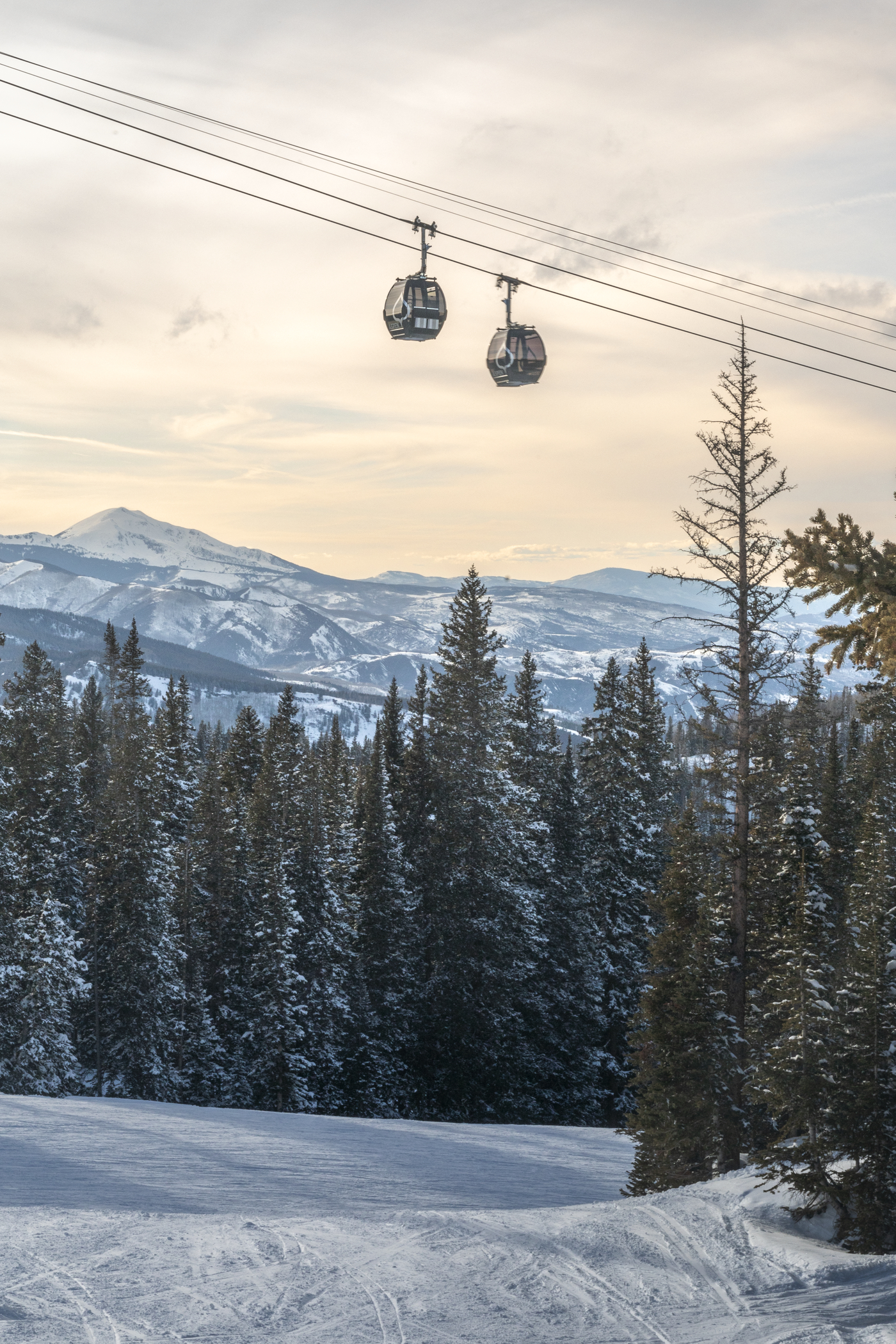 Scenic image of the Aspen Gondola above the trees.