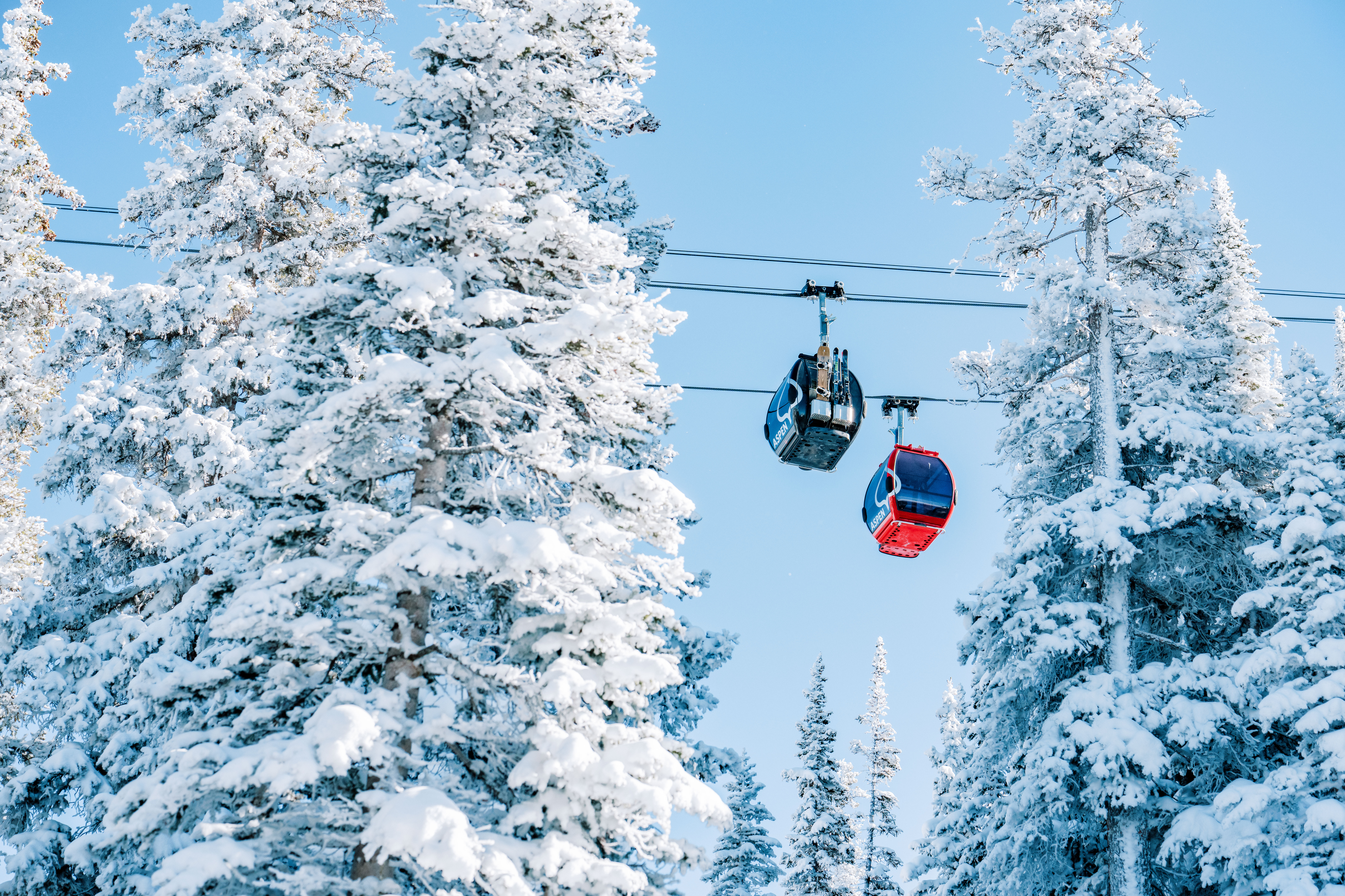 Two Gondolas, one red and one black, framed between snow coated trees on a blue bird winter morning